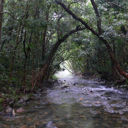 Heritage Lodge Daintree Esterno foto