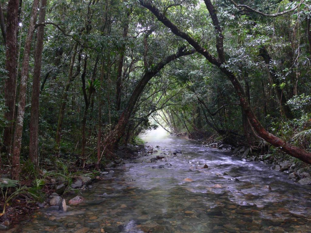 Heritage Lodge Daintree Esterno foto