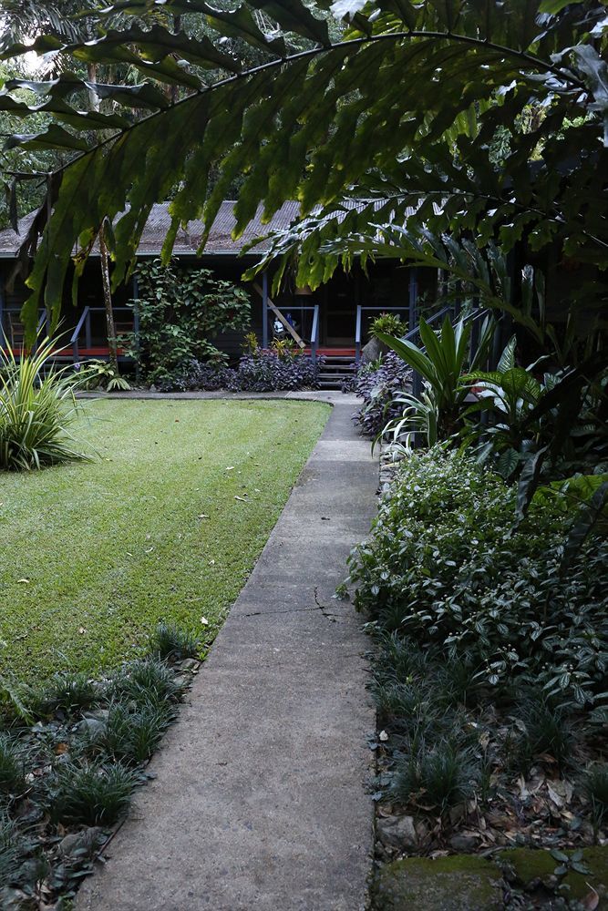 Heritage Lodge Daintree Esterno foto