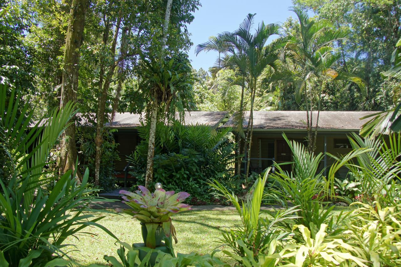 Heritage Lodge Daintree Esterno foto