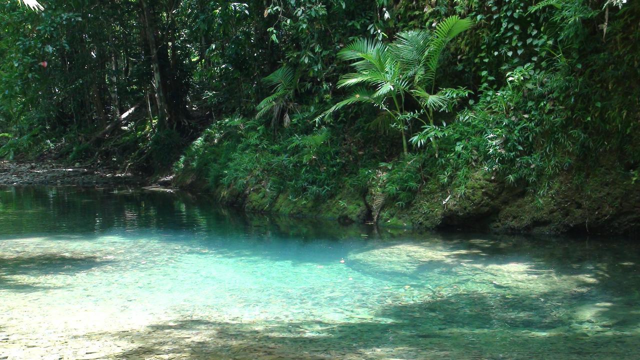 Heritage Lodge Daintree Esterno foto