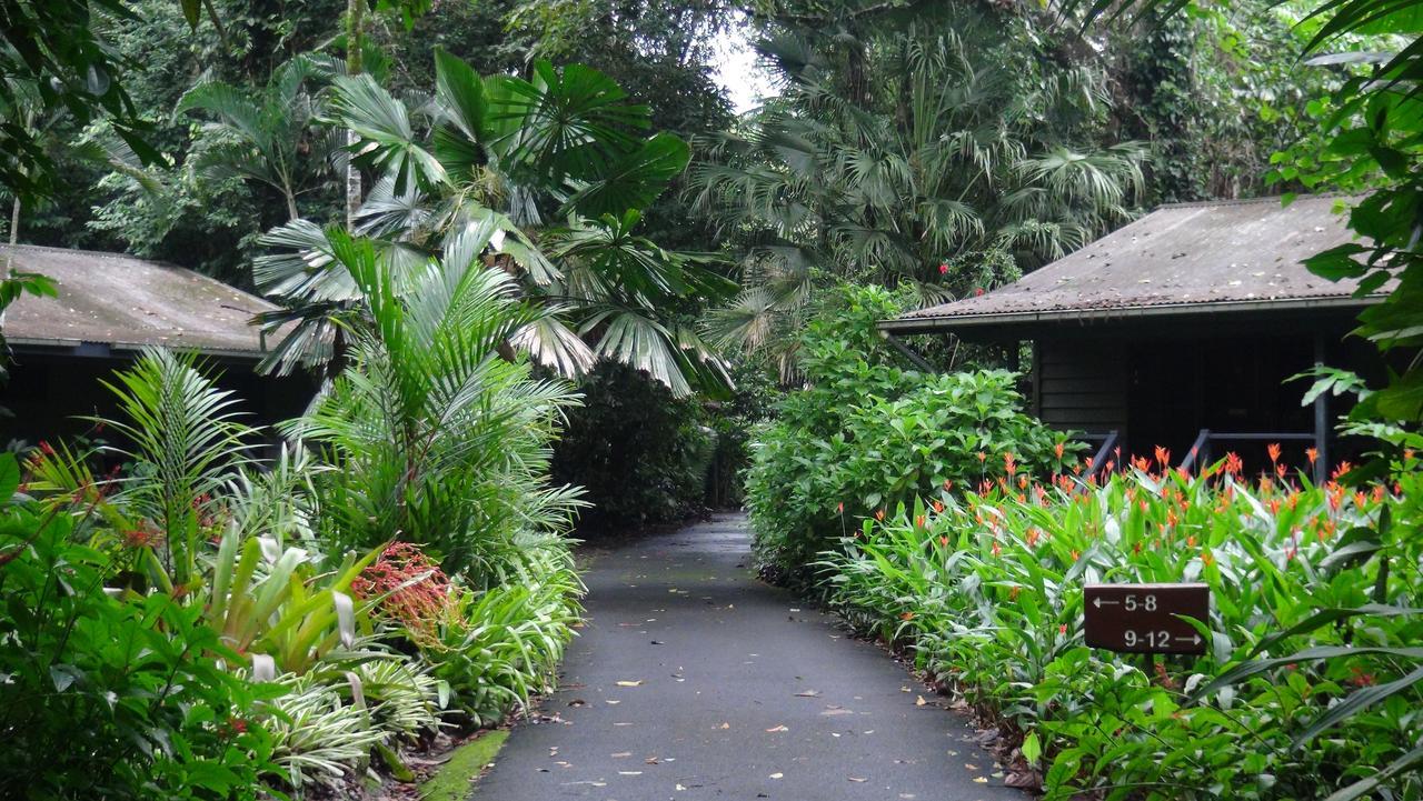 Heritage Lodge Daintree Esterno foto